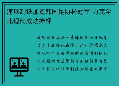 浦项制铁加冕韩国足协杯冠军 力克全北现代成功捧杯